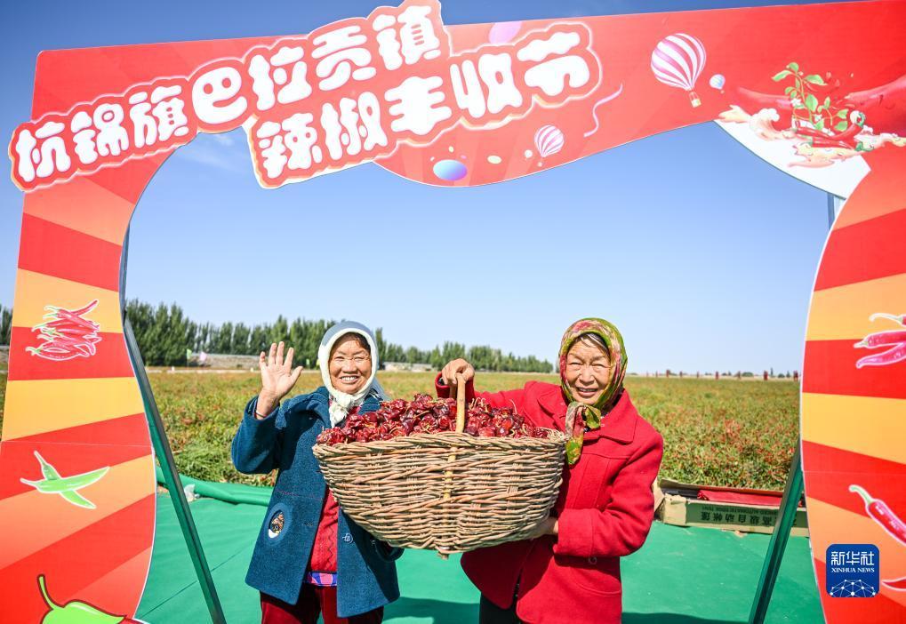 足球大赢家官网
